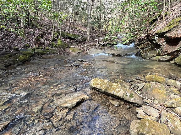 2nd image of 126 Kelly Creek Rd