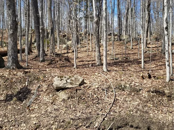 Hollywood Rd Lot 53, Old Forge, NY 13420