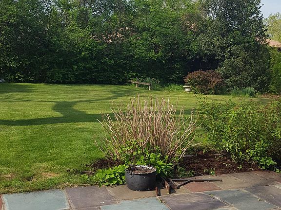 Patio and back yard. 
