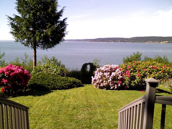 Back yard view looking north