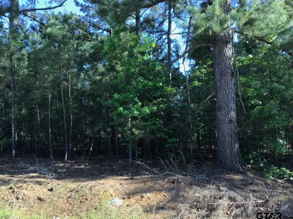 Private Road 52031, Pittsburg, TX 75686