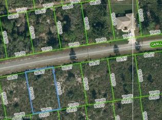 7335 Casilla St, Sebring, FL 33872
