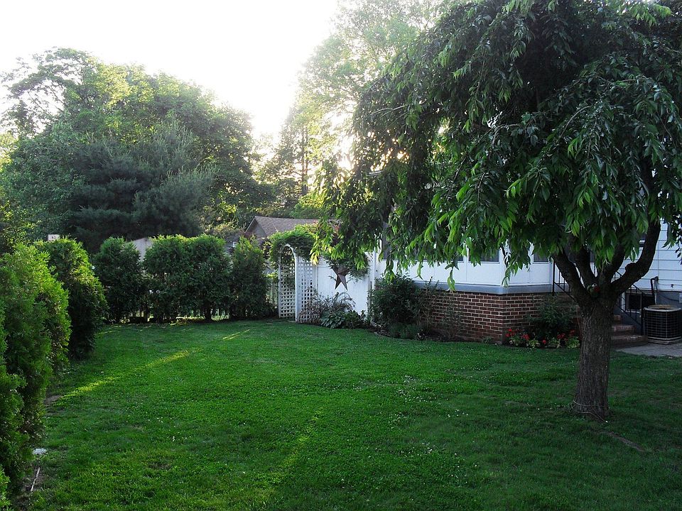 Side Yard, arbor -rear patio