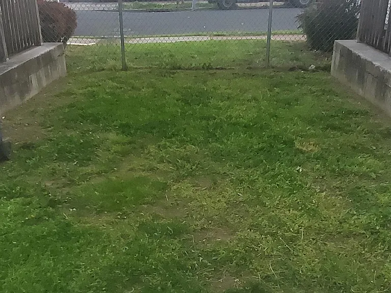 125B Baldwin St — Photo 7