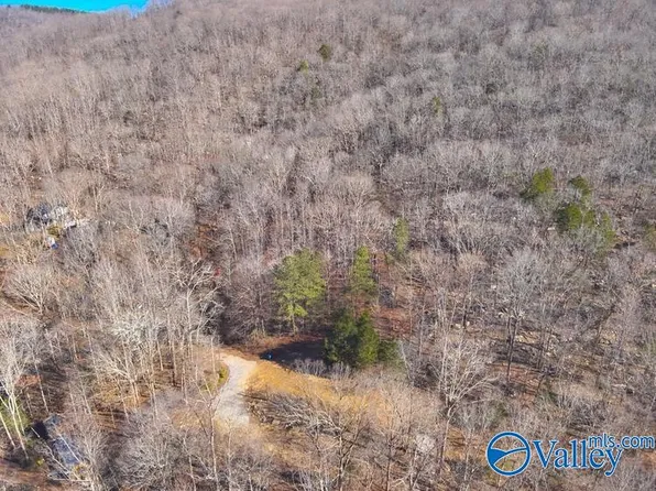 45/ACRE S Shooting Star Trl, Gurley, AL 35748