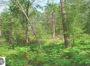 2990 W Cedar Lake Rd, Greenbush, MI 48738