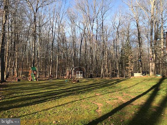 4.7 acres to play and roam!