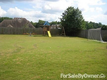 Backyard!