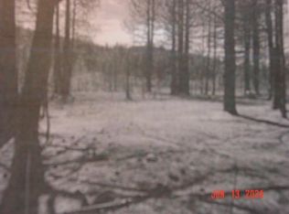 10569 Dixie Valley Rd, Chilcoot, CA 96105