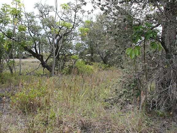 2nd image of Iolani Ln Lot 27