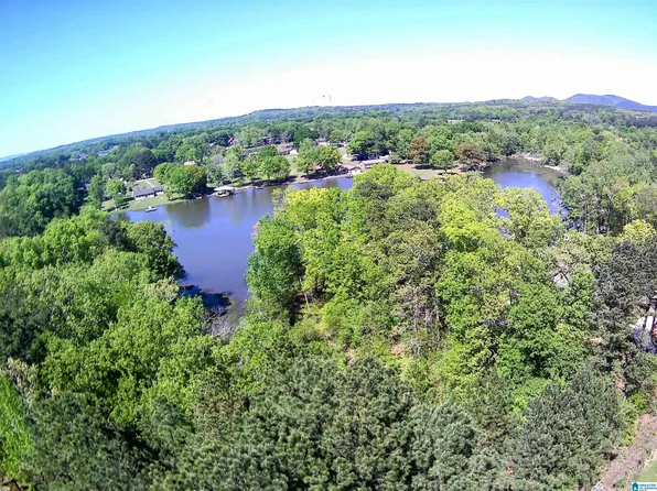 Castaway Rd, Sylacauga, AL 35151