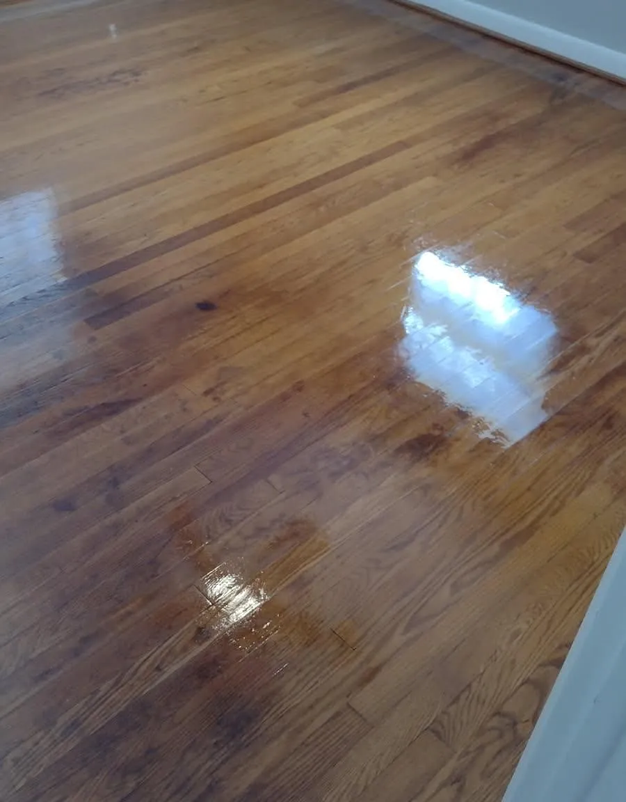 3 bed, 1205 sqft, $1,800 — Photo 1