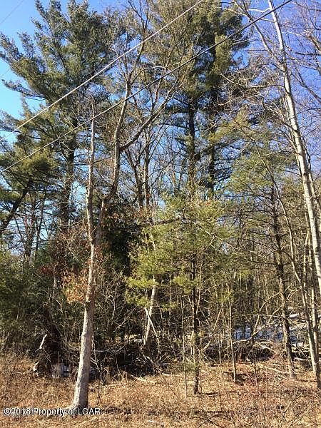 2nd image of Creek Rd