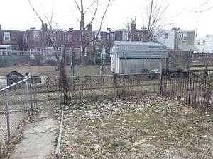 yard