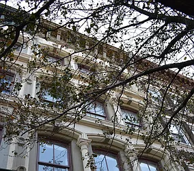 Rented by Ibec Living