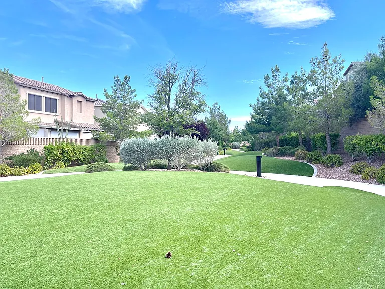 9702 Canyon Landing Ave — Photo 49