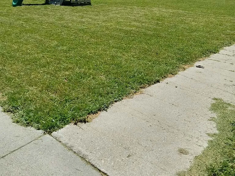 1070 McKinley Ave — Photo 19