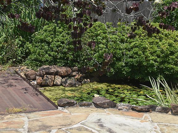 Koi Pond and Bridge