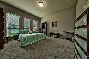 26418 Harmony Mill Ct — Photo 12