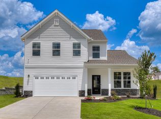 338 Chapin Place Way, Chapin, SC 29036