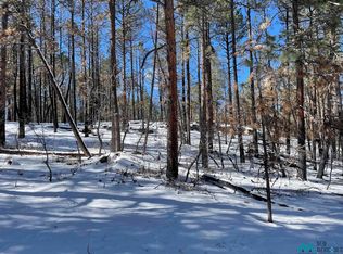 312 County Road A16c Rd, Las Vegas, NM 87701