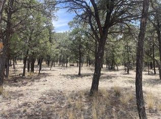 30 Hop Canyon Rd, Magdalena, NM 87825