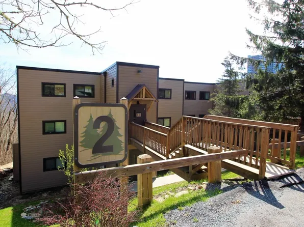 102 Sugar Ski Dr #213, Banner Elk, NC 28604