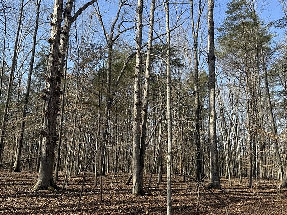 5th image of 0 Step Rock Hill Rd