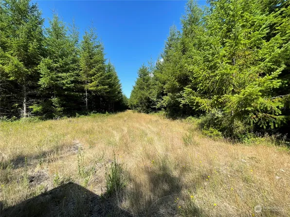 0 Kobe Road, Pe Ell, WA 98572