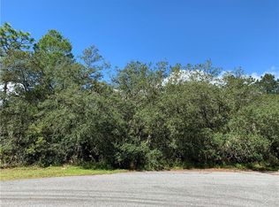 Shady Rose Ct, Eustis, FL 32736
