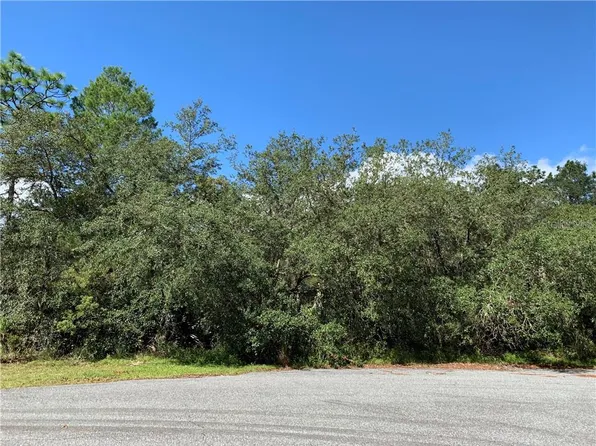 Shady Rose Ct, Eustis, FL 32736