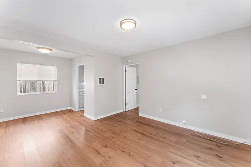 3659 Dalbergia St #3659 Photo 1