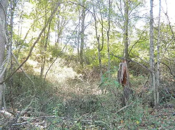 Miller Ave, Marion, VA 24354