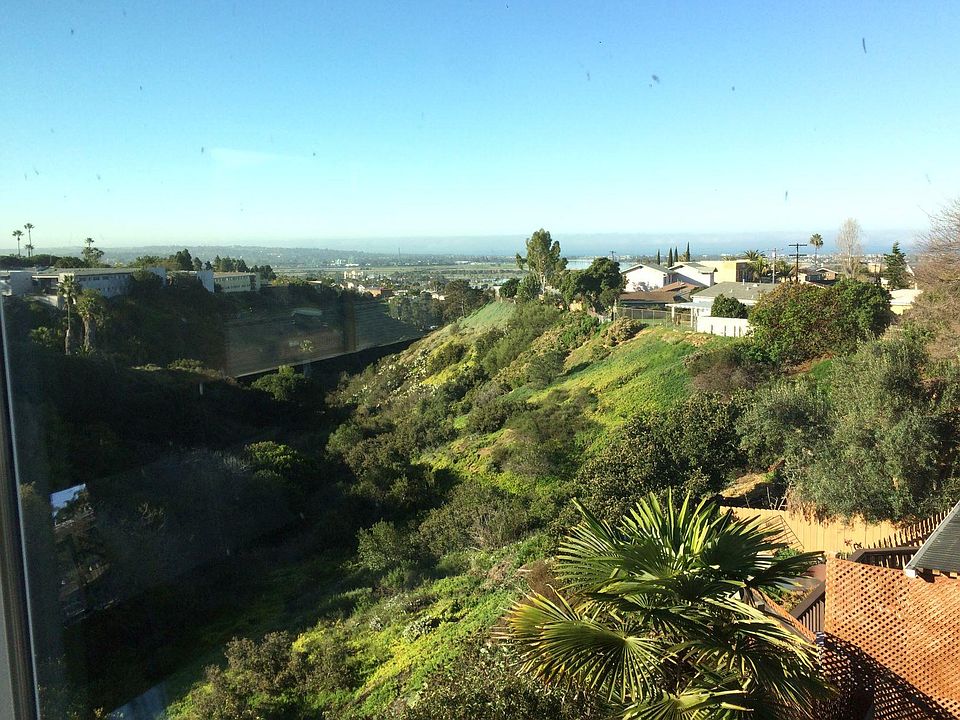 View from Living Room