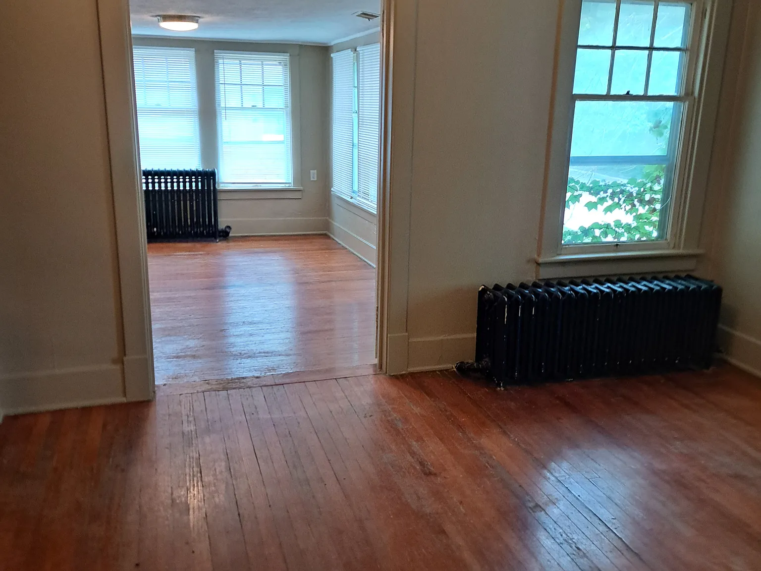 1 bed, 750 sqft, $700 — Photo 2
