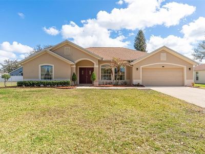 2025 S Fish Camp Rd, Grand Island, FL, 32735