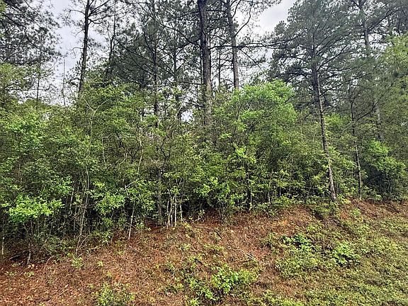 3rd image of 0 Rainey Rd