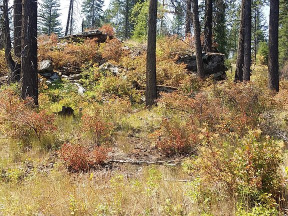 3rd image of 5255 Northshore Diamond Lake Rd