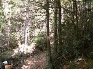 Tbd Hubert Taylor Rd, Mountain City, TN 37683