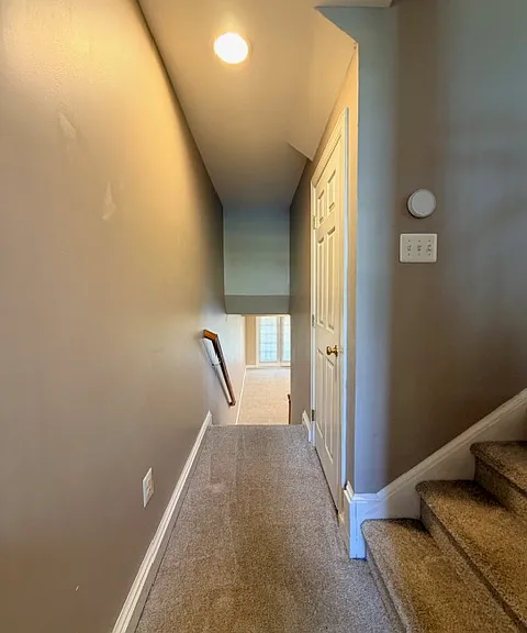 203 Altair Way — Photo 13