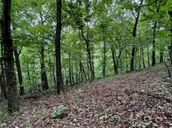 Summit Dr #13, Eureka Springs, AR 72631