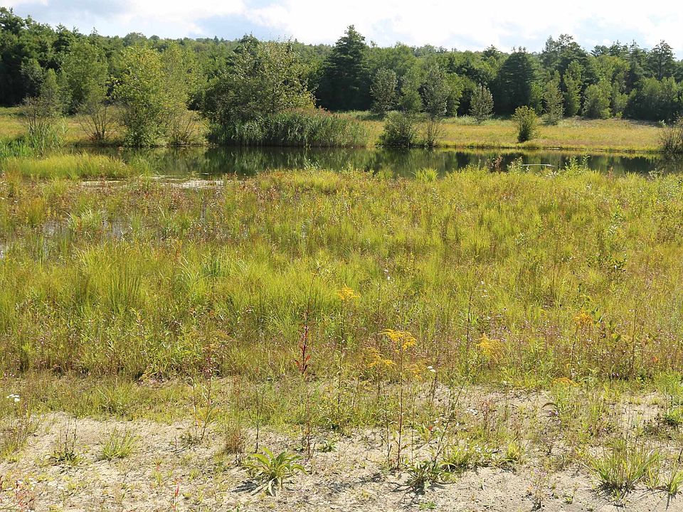 435 Bog Road, Enfield, NH 03748 Zillow