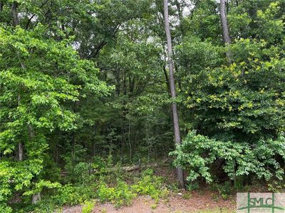 0 Courtland Dr, Hinesville, GA, 31313