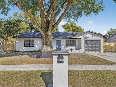 1214 Oakhill St, Seffner, FL, 33584