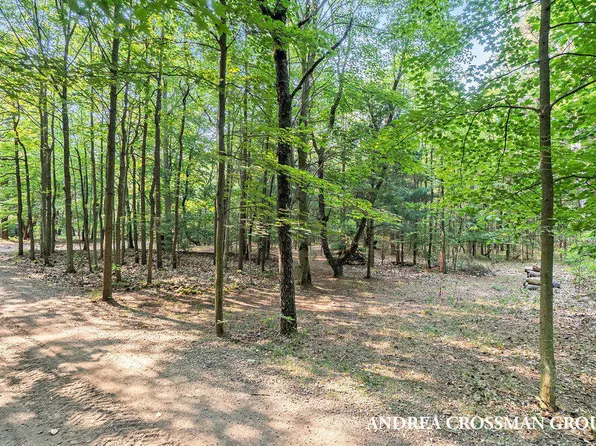 0 Stone Bridge Trl #5, Fennville, MI 49408