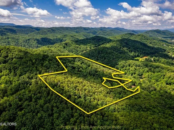 154 Poplar St, Tellico Plains, TN 37385