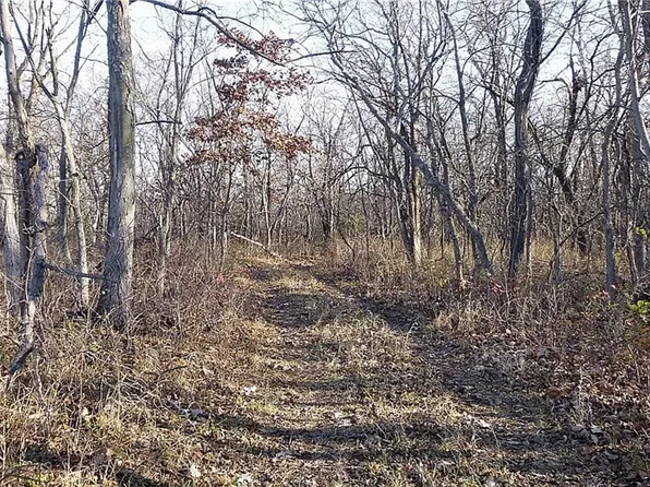 Yy Hwy, Elmo, MO 64445