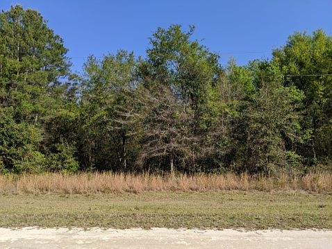 4th image of 165 SE Breckenridge Dr