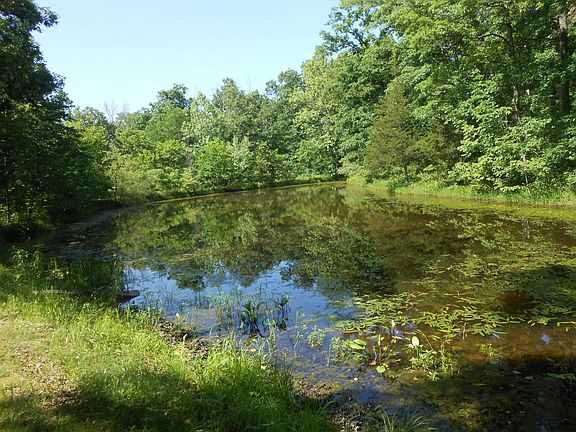 4th image of 5915 County Road 173