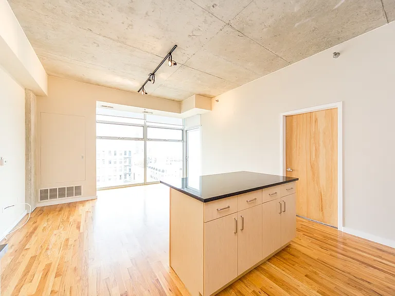 1620 S Michigan Ave #812 — Photo 4